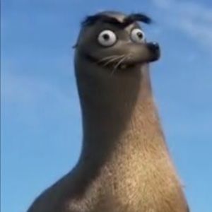 Meet your Posher, Leo